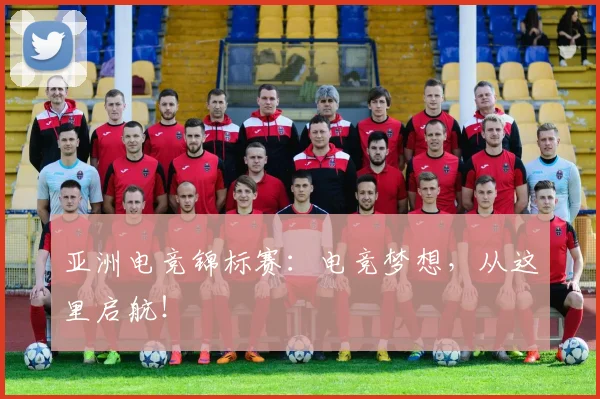 亚洲电竞锦标赛：电竞梦想，从这里启航！