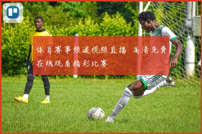 体育赛事频道视频直播 高清免费在线观看精彩比赛